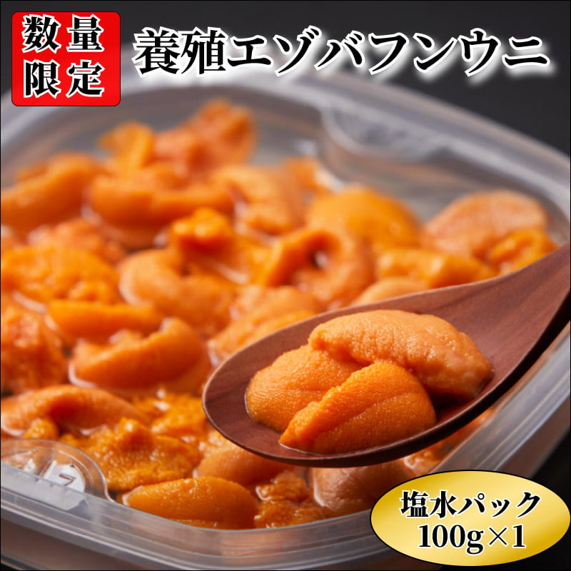 浜中産　養殖エゾバフンウニ(塩水パック)100g