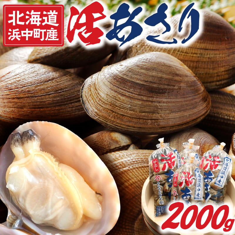 1月～3月発送分　浜中町産活あさり(500g×4袋セット)