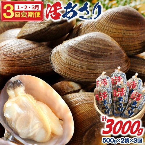 ＜1月・2月・3月お届け＞浜中産活あさり【総重量3kg】