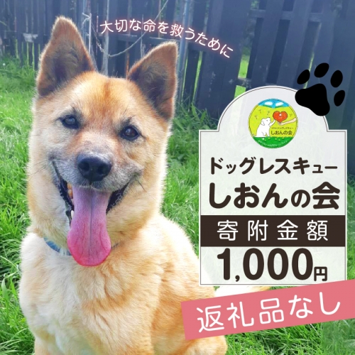 【野犬の保護活動】浜中町「ドッグレスキューしおんの会」を支援　1000円分