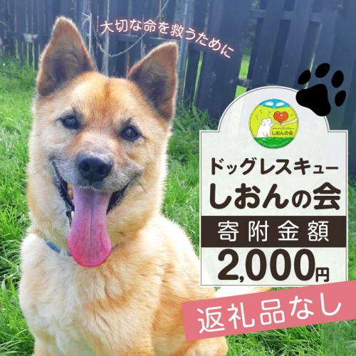 【野犬の保護活動】浜中町「ドッグレスキューしおんの会」を支援　2000円分