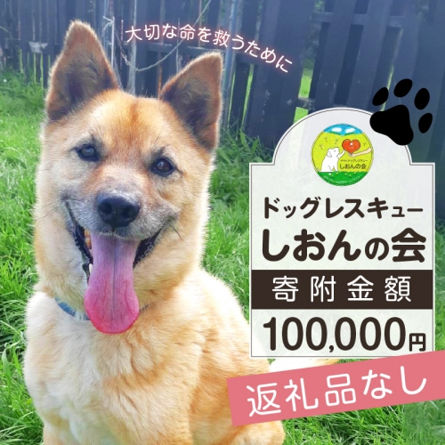 【野犬の保護活動】浜中町「ドッグレスキューしおんの会」を支援　100000円分