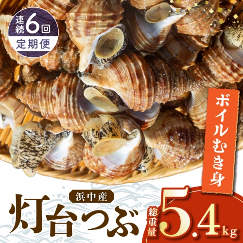 ＜全6回・連続＞灯台つぶ【総重量5.4kg】