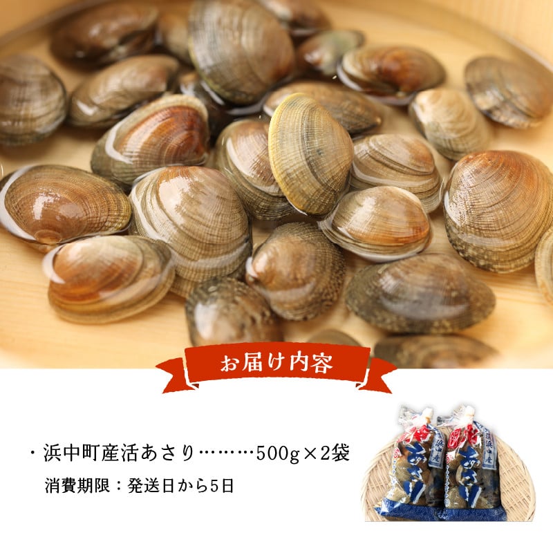 4月～6月発送分　浜中町産活あさり(500g×2袋セット)