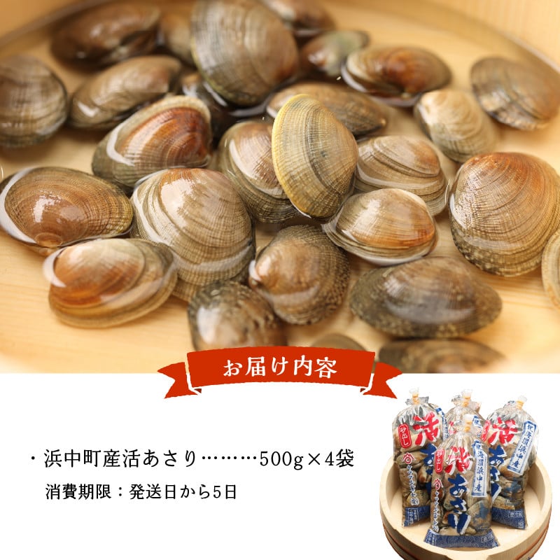 1月～3月発送分　浜中町産活あさり(500g×4袋セット)