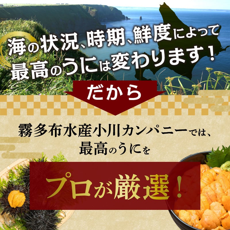 【プロが選ぶ】塩水うにパック 150g