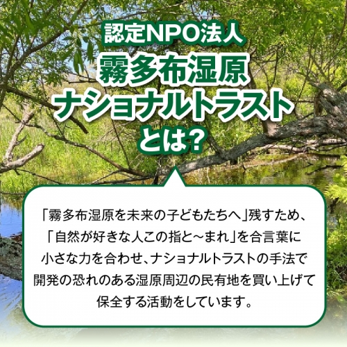 霧多布湿原を中心とする環境保全活動への寄附【20,000】