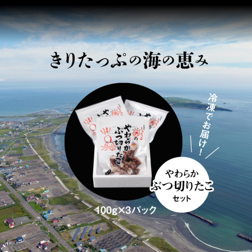 G15-3 やわらかぶつ切りたこ100ｇ×3パックセット　