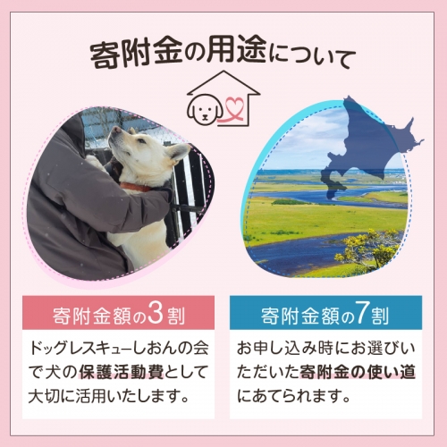 【野犬の保護活動】浜中町「ドッグレスキューしおんの会」を支援　1000円分