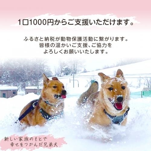 【野犬の保護活動】浜中町「ドッグレスキューしおんの会」を支援　1000円分